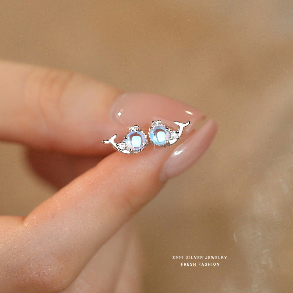 C廠 韓國韓版炫彩鯨魚S999純銀耳環 批發 折扣@洽客服 24.11.W2「E5751-999」