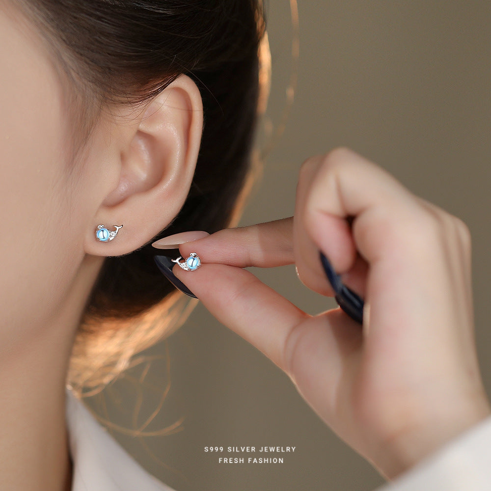 C廠 韓國韓版炫彩鯨魚S999純銀耳環 批發 折扣@洽客服 24.11.W2「E5751-999」