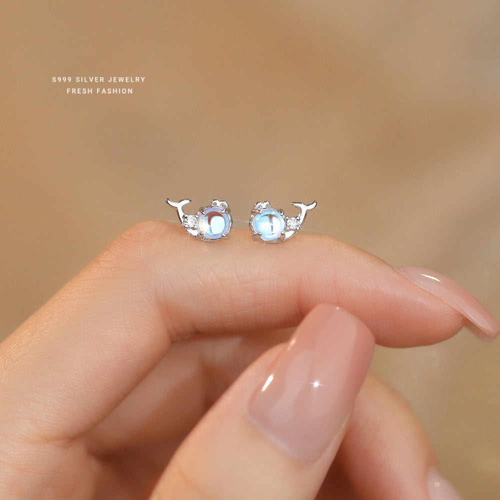 C廠 韓國韓版炫彩鯨魚S999純銀耳環 批發 折扣@洽客服 24.11.W2「E5751-999」