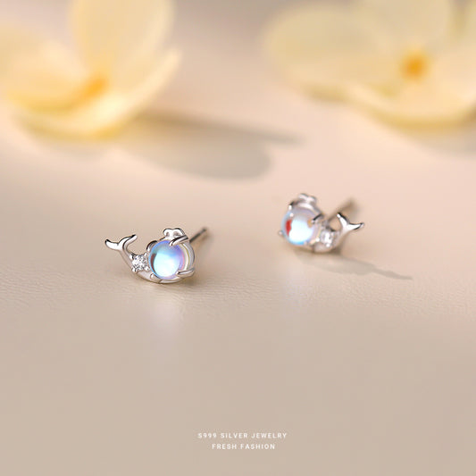 C廠 韓國韓版炫彩鯨魚S999純銀耳環 批發 折扣@洽客服 24.11.W2「E5751-999」