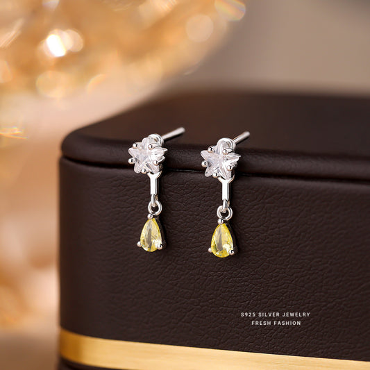 C廠 韓國韓版五角星流蘇水滴S925純銀耳環 批發 折扣@洽客服 24.11.W2「E5756」