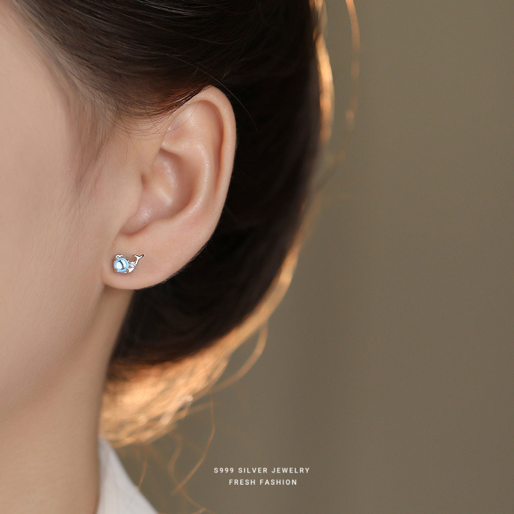 C廠 韓國韓版炫彩鯨魚S999純銀耳環 批發 折扣@洽客服 24.11.W2「E5751-999」