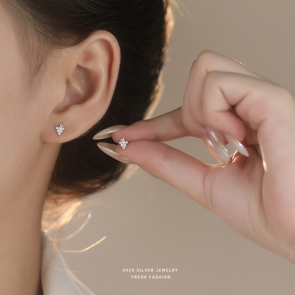 C廠 韓國韓版微鑲葡萄S925純銀耳環 批發 折扣@洽客服 25.12.W1「E5842」